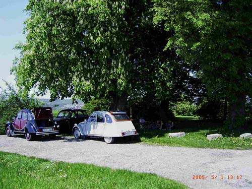 RIMG2939