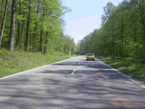 RIMG2949