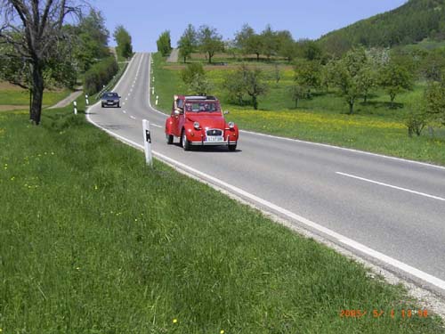 RIMG2952
