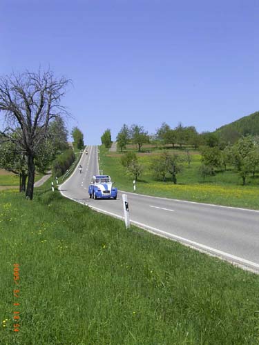 RIMG2953