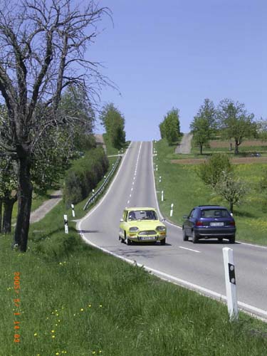 RIMG2955