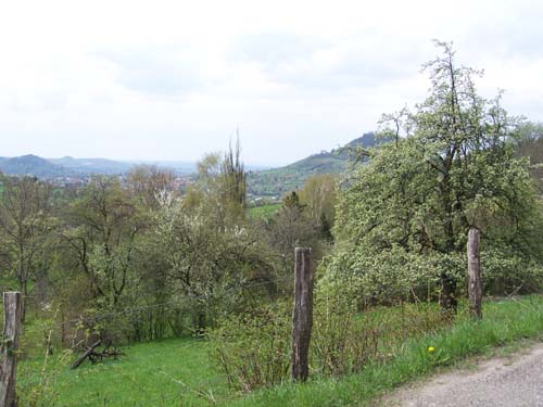 6020_Ziel_AZ